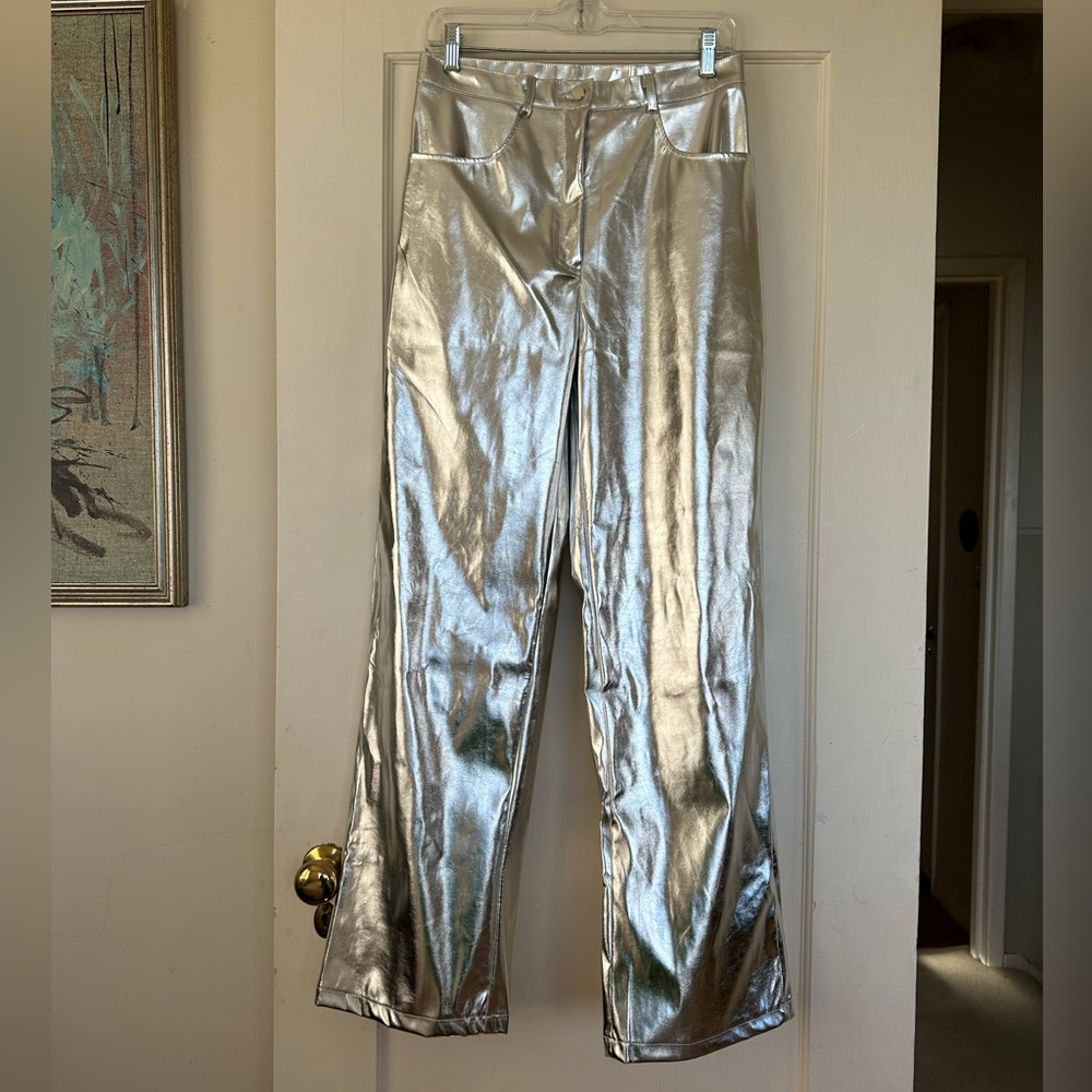 Metallic pants - 30” waist, 29” inseam, 40” hip